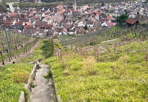 23-03-17 14-15-28 4919